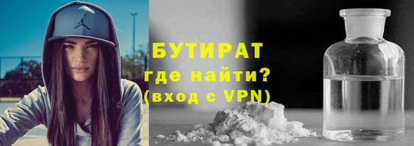 сатива Новозыбков