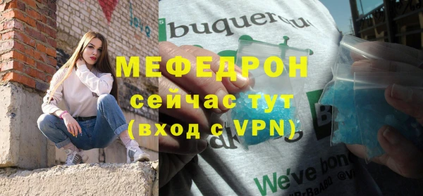 сатива Новозыбков