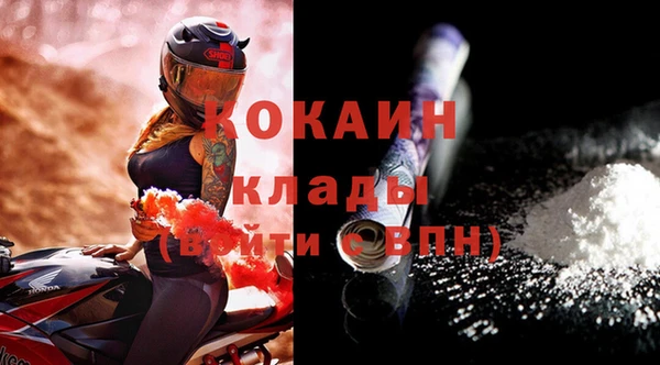сатива Новозыбков