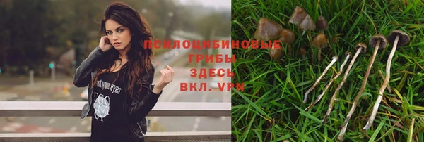 хмурый Нягань