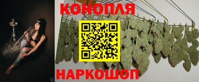 кокс Гагарин