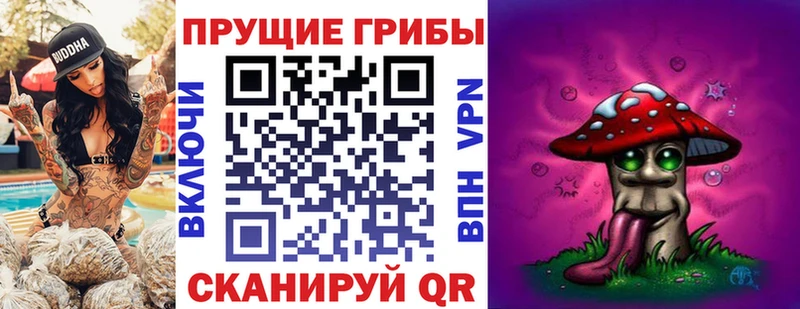 Псилоцибиновые грибы прущие грибы  Знаменск 