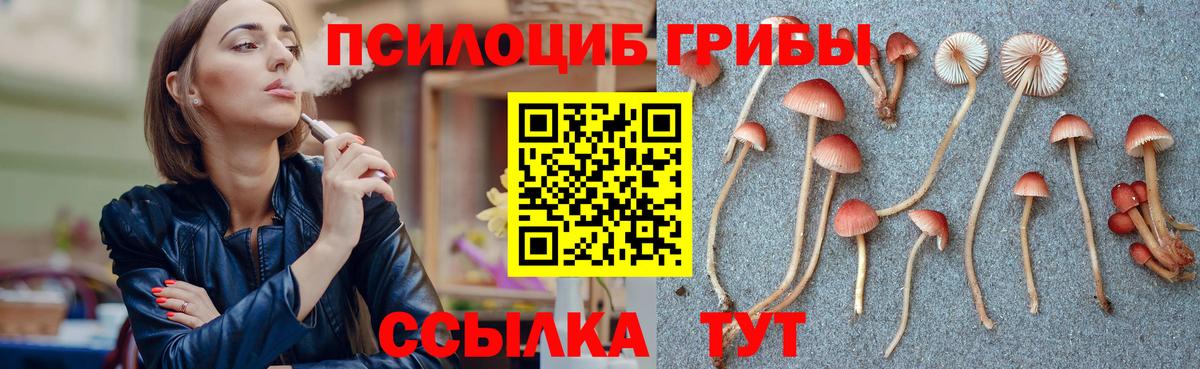 Знаменск  Псилоцибиновые грибы мухоморы  Вход с VPN 